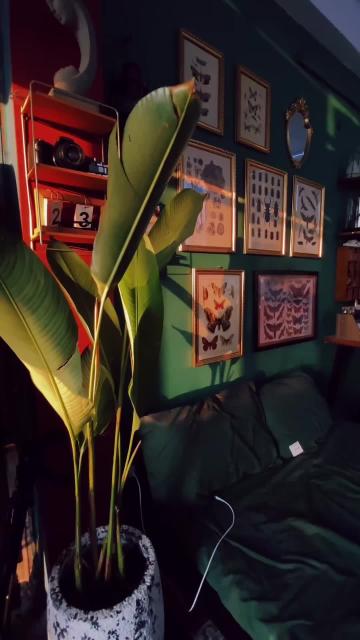 Căn gác nhỏ nơi mình làm tiêu bản số lượng vừa đủ. Nguồn: limcatcher