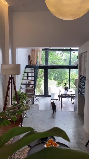 Research shows using a cat in your interior photos makes people more interested in your service. Nguồn: luke.nguyen.lab