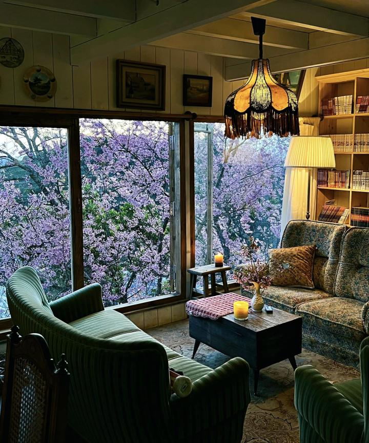 Ngôi nhà nhỏ 40m2 ở ngoại ô Đà Lạt ngập tràn hoa mai anh đào: Không gian cổ điển hài hoa, tầm nhìn ai cũng mê mẩn