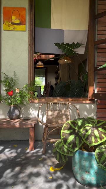 Ngắm nắng chiều nhảy nhót tung tăng bên hiên nhà. Nguồn: tuong_dalat